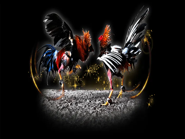 Hướng Dẫn Chi Tiết Cách Chơi Đá Gà Sabong Tại C54 1 Hướng Dẫn Chi Tiết Cách Chơi Đá Gà Sabong Tại C54