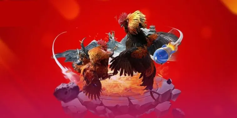 Đá Gà C54: Hướng Dẫn Chi Tiết Cách Chơi Và Kinh Nghiệm Thắng Lớn 1 Đá Gà C54: Hướng Dẫn Chi Tiết Cách Chơi Và Kinh Nghiệm Thắng Lớn