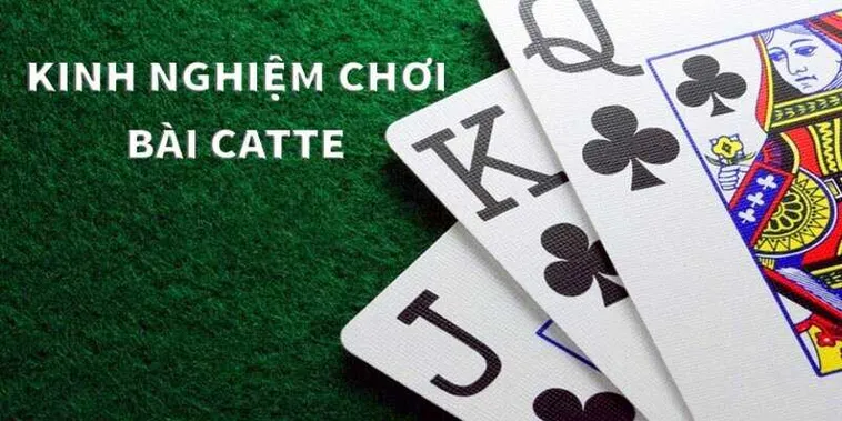 Khám Phá Cách Chơi Sắc Tê C54 Hiệu Quả Nhất Cho Người Mới 2 Khám Phá Cách Chơi Sắc Tê C54 Hiệu Quả Nhất Cho Người Mới
